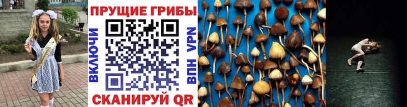 Галлюциногенные грибы ЛСД  Горячеводский 